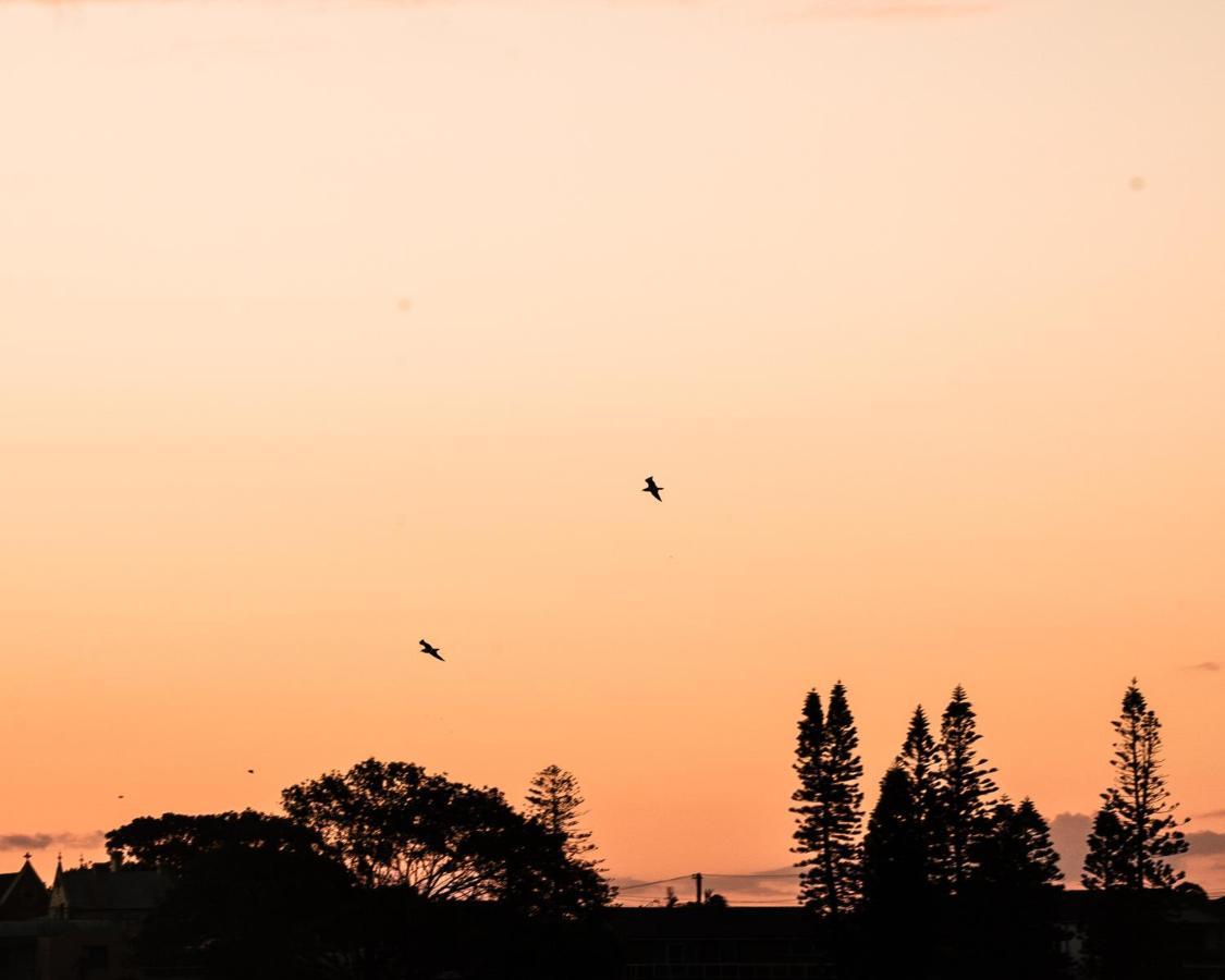 Мотель Terrigal Pacific Coastal Retreat Экстерьер фото